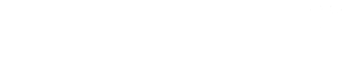 minirepro.com logo